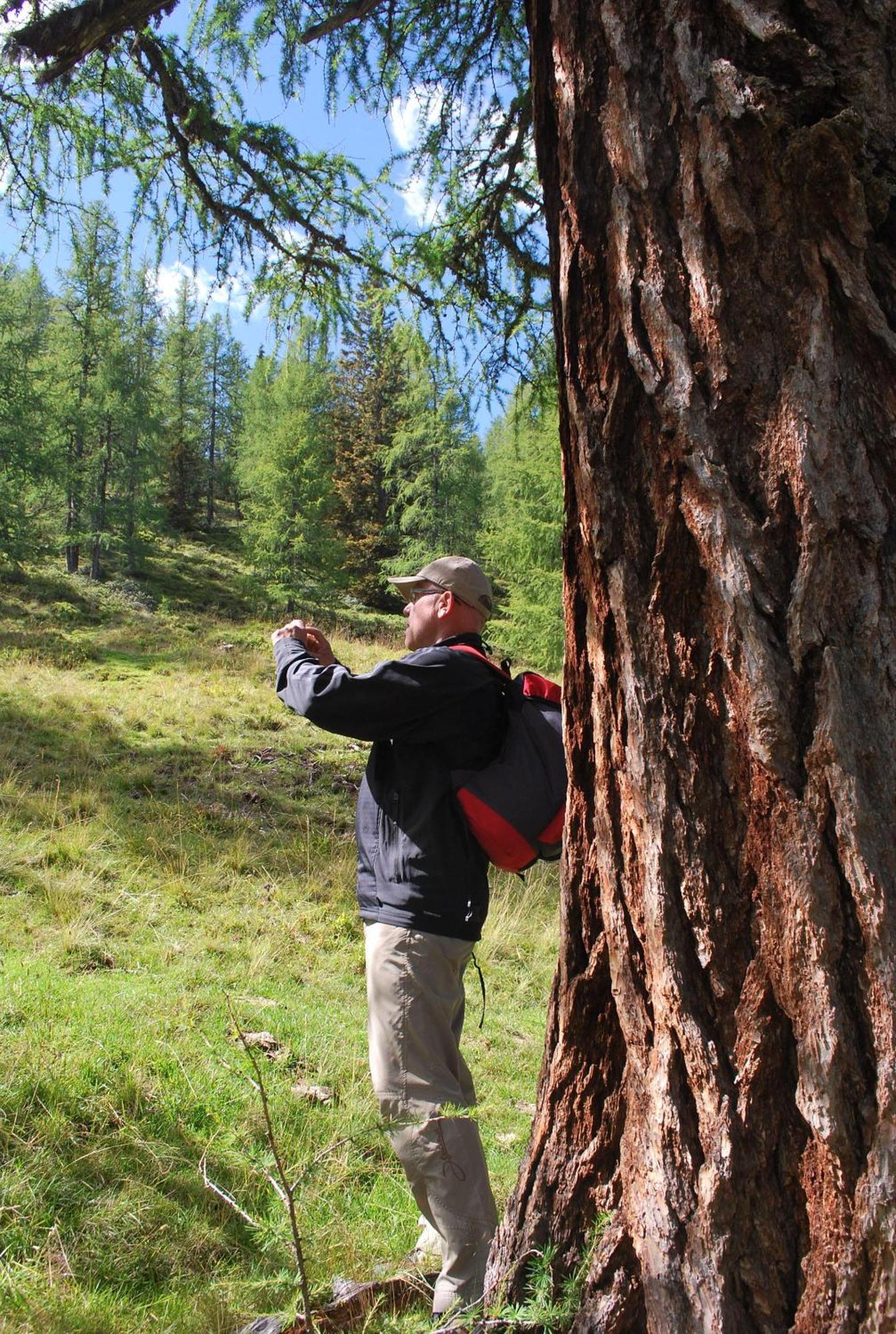 Biohof Seidl Leilighet Bad Kleinkirchheim Eksteriør bilde