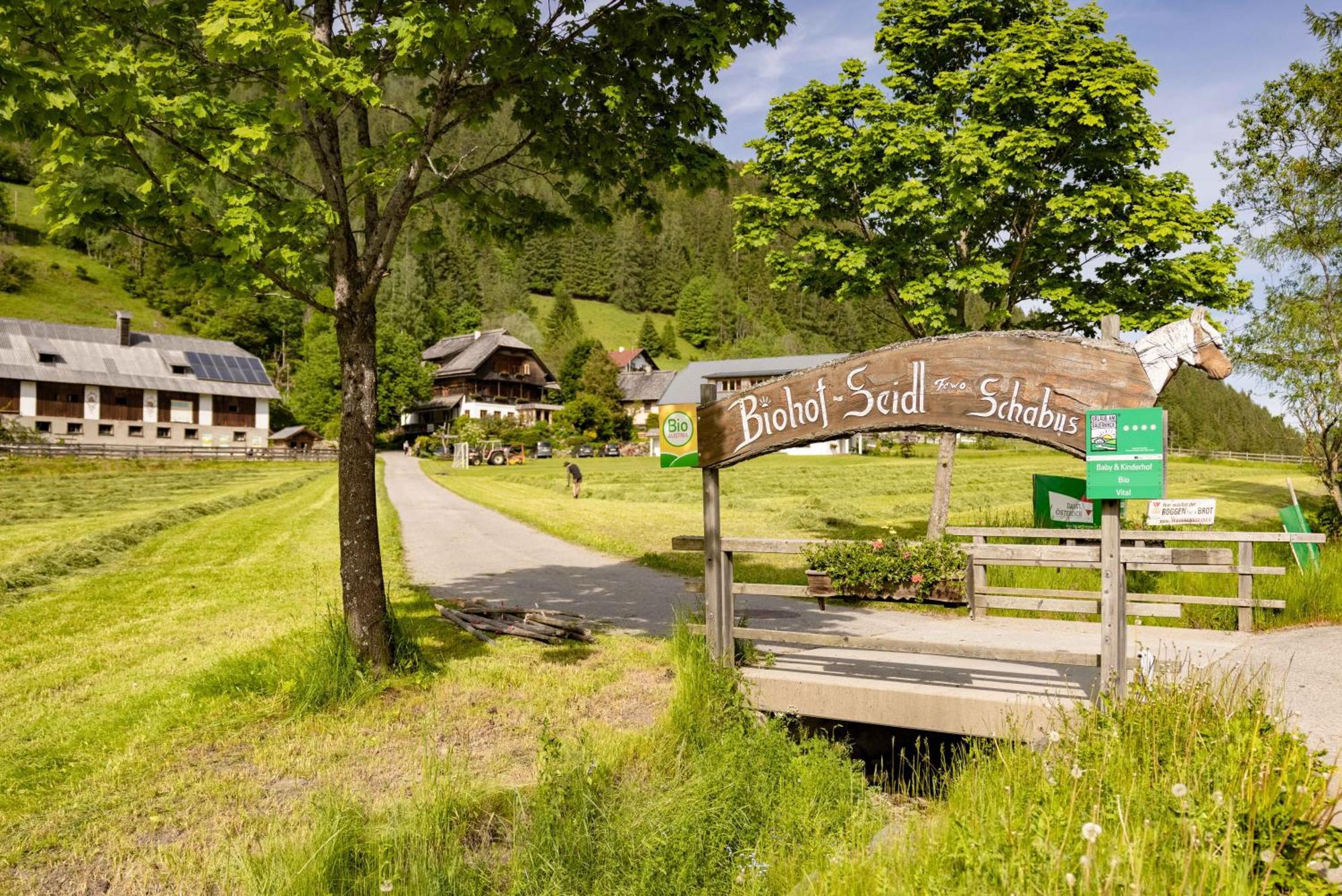 Biohof Seidl Leilighet Bad Kleinkirchheim Eksteriør bilde